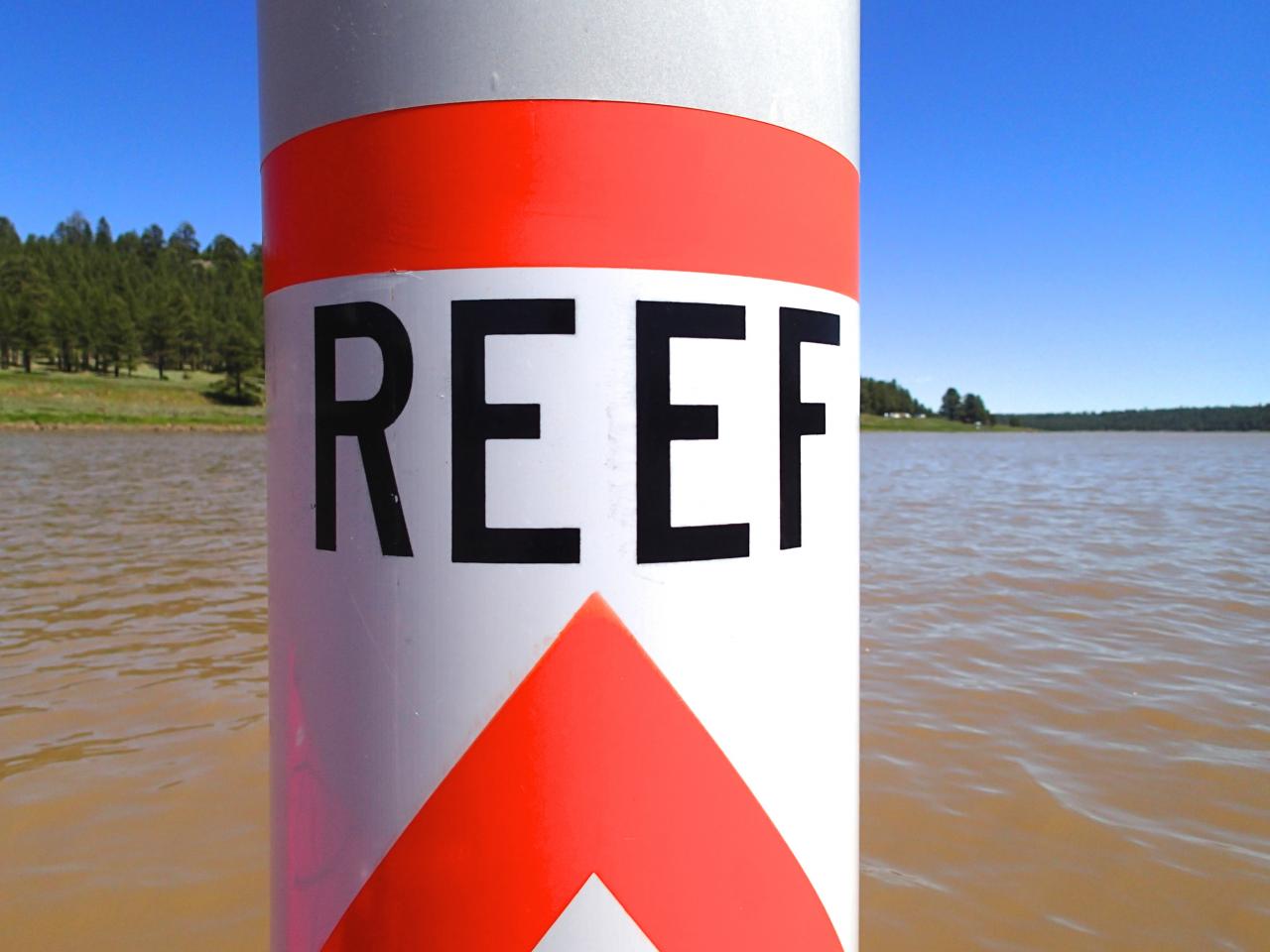 Brand and growth marketing